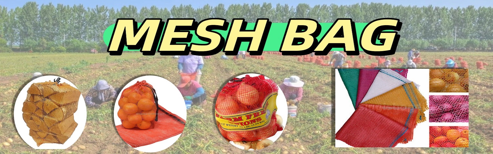 Company Display Image 2